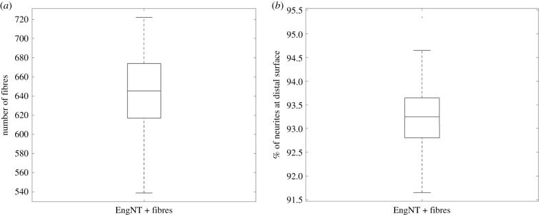 Figure 12. 