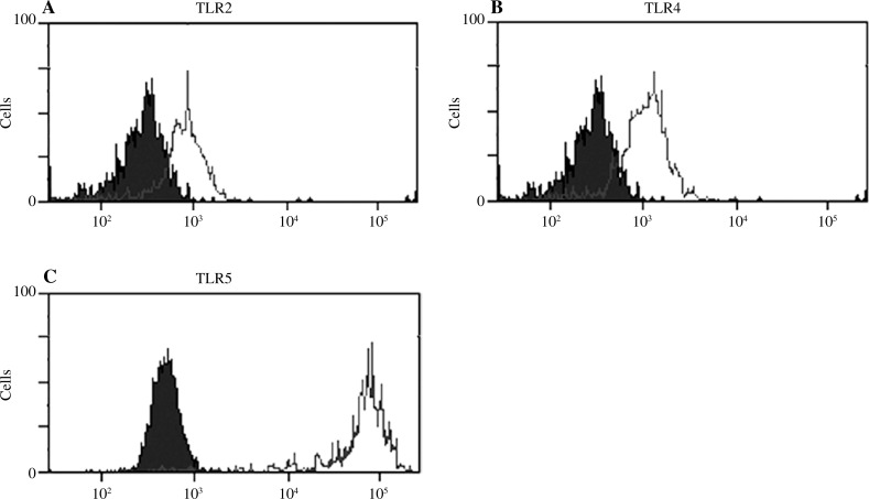 Fig. 2