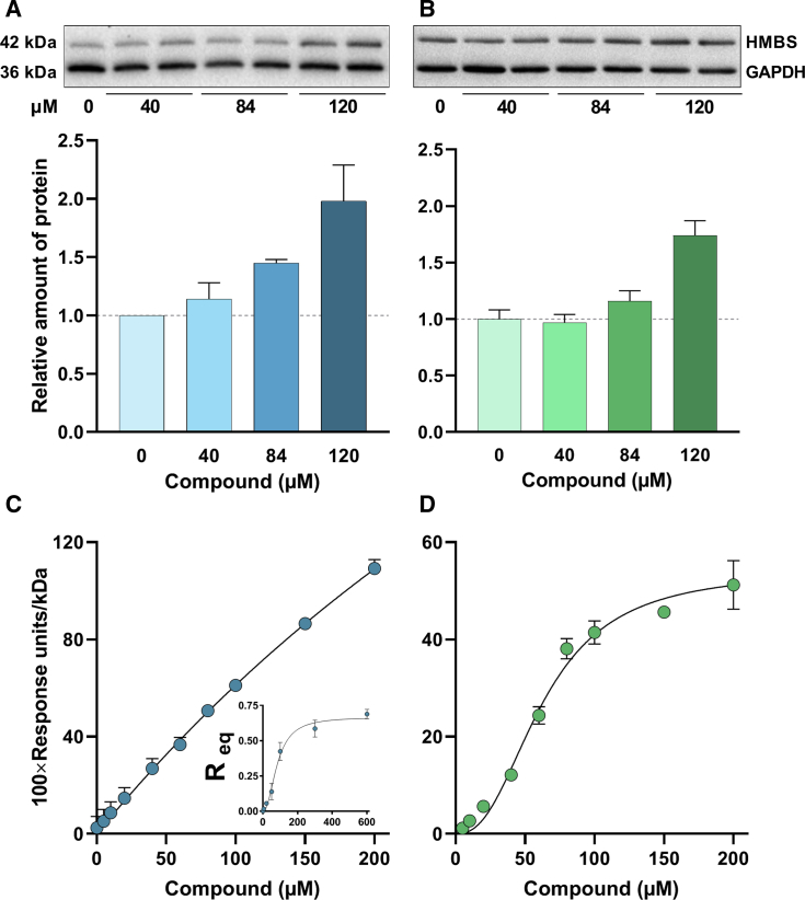 Figure 2