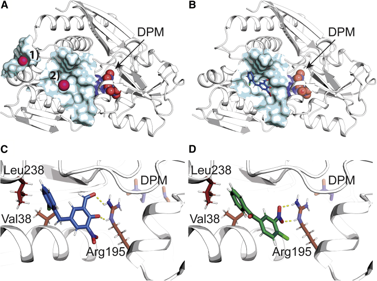 Figure 3