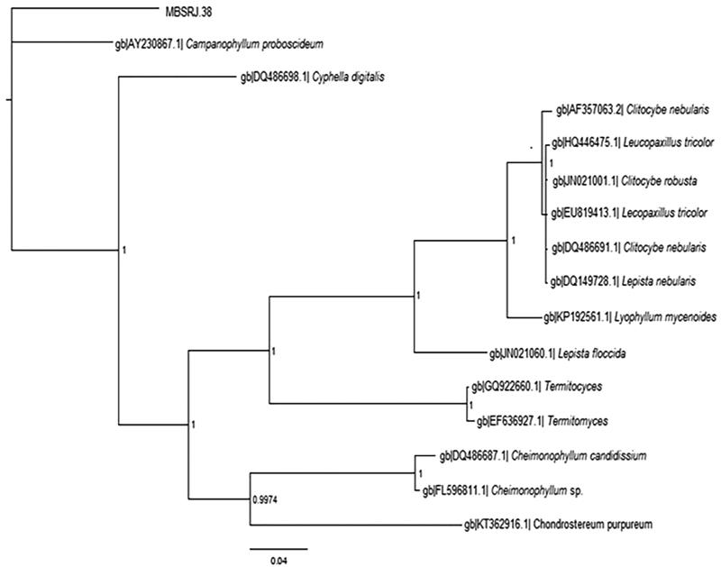 Figure 2.