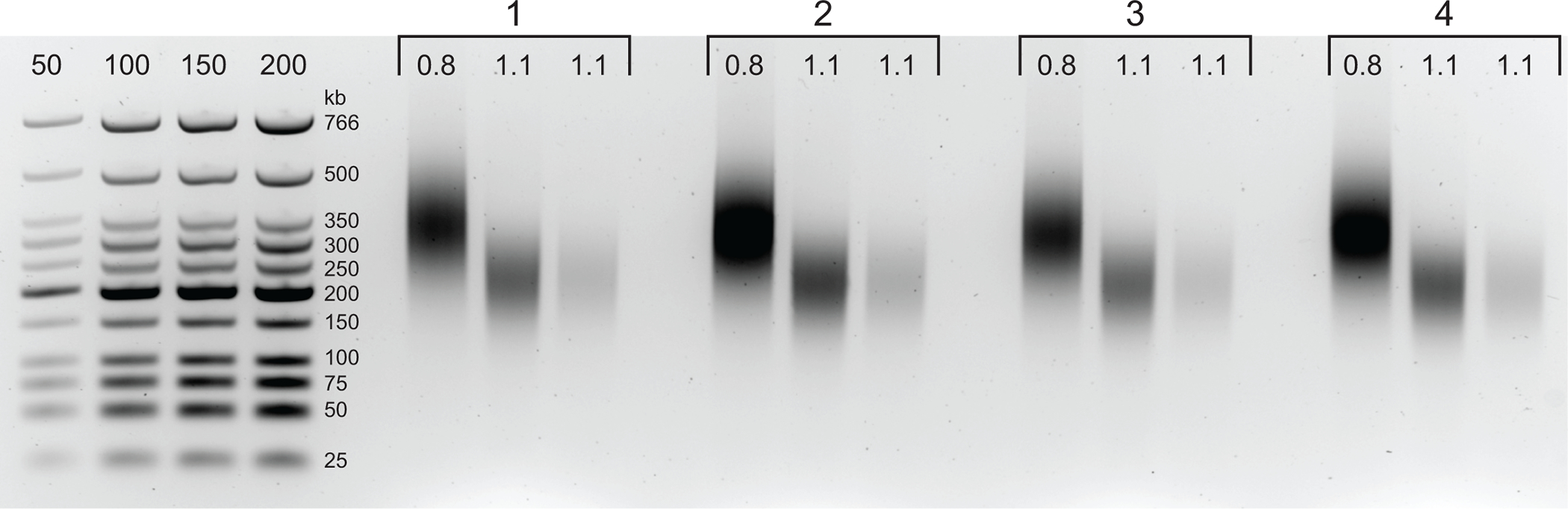 Figure 3: