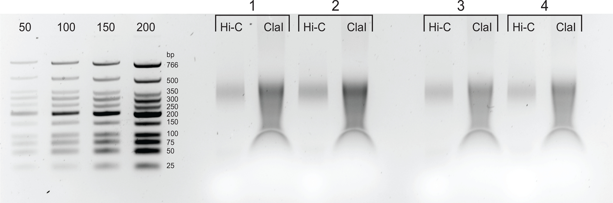 Figure 5: