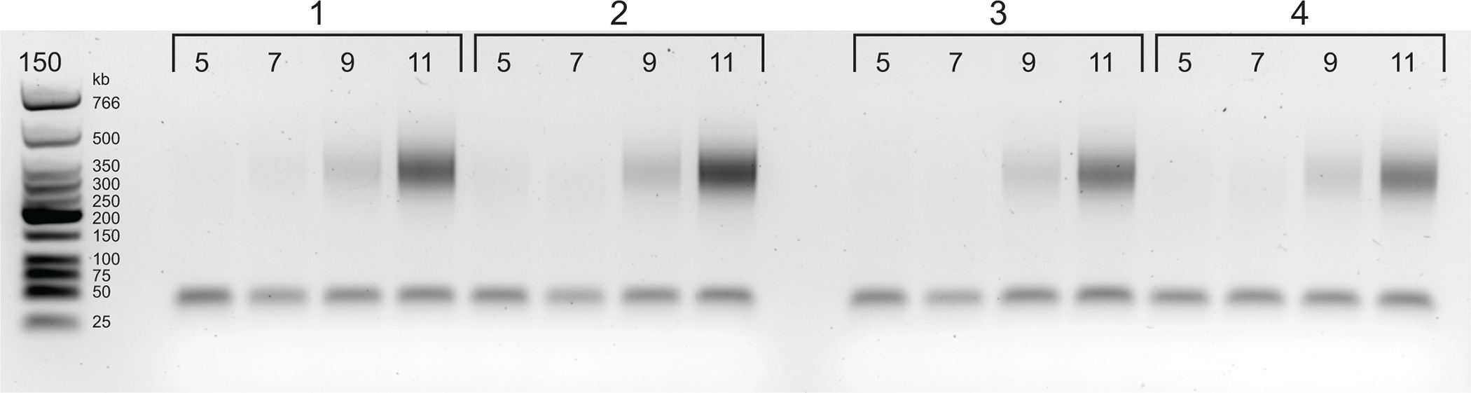 Figure 4: