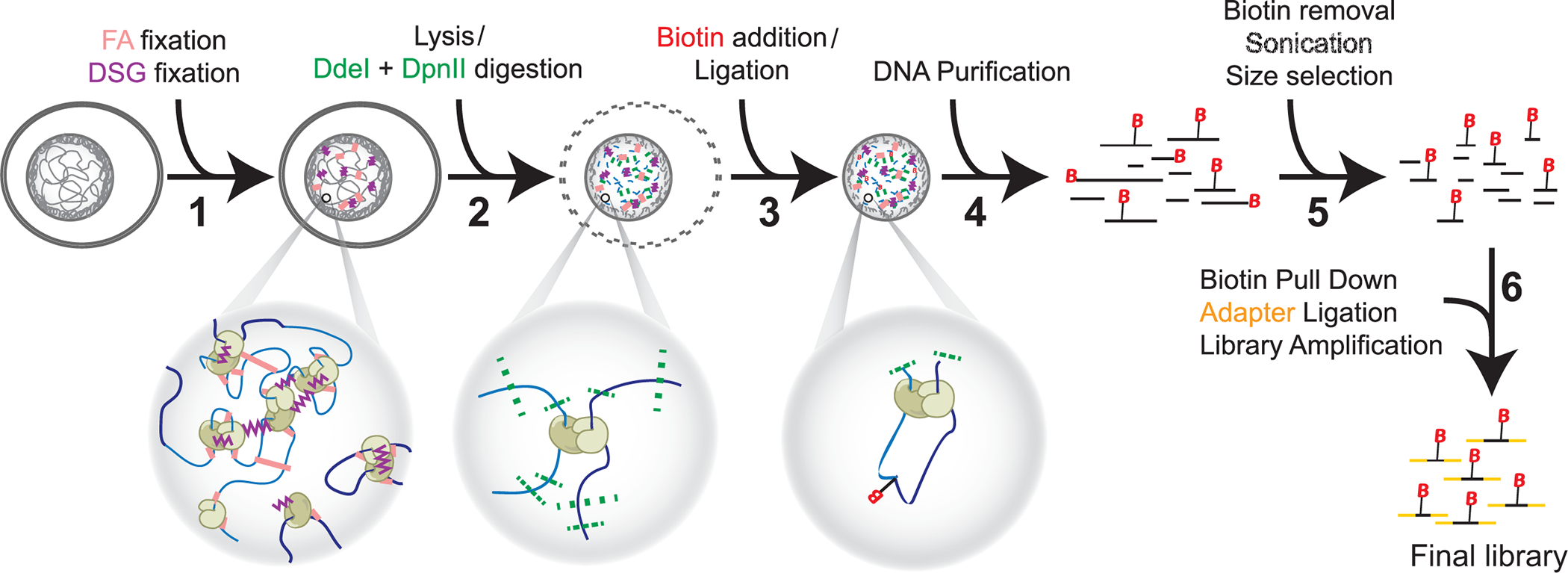 Figure 1: