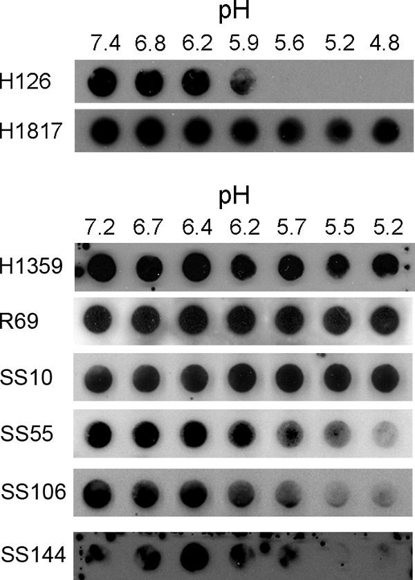 FIG. 1.