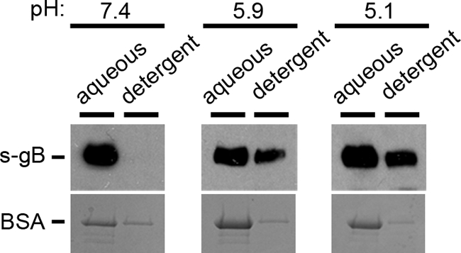 FIG. 5.