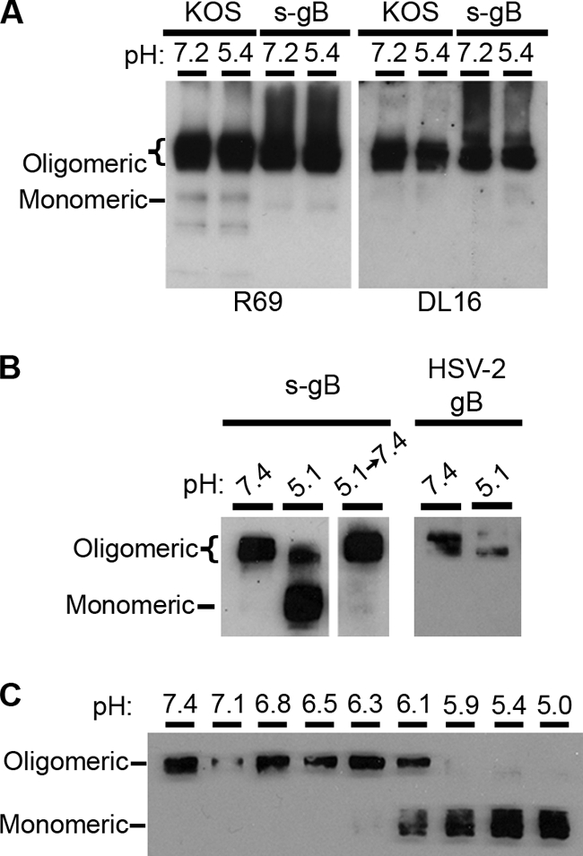 FIG. 4.