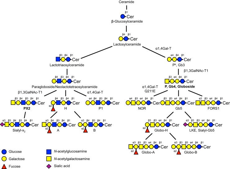 FIGURE 1.