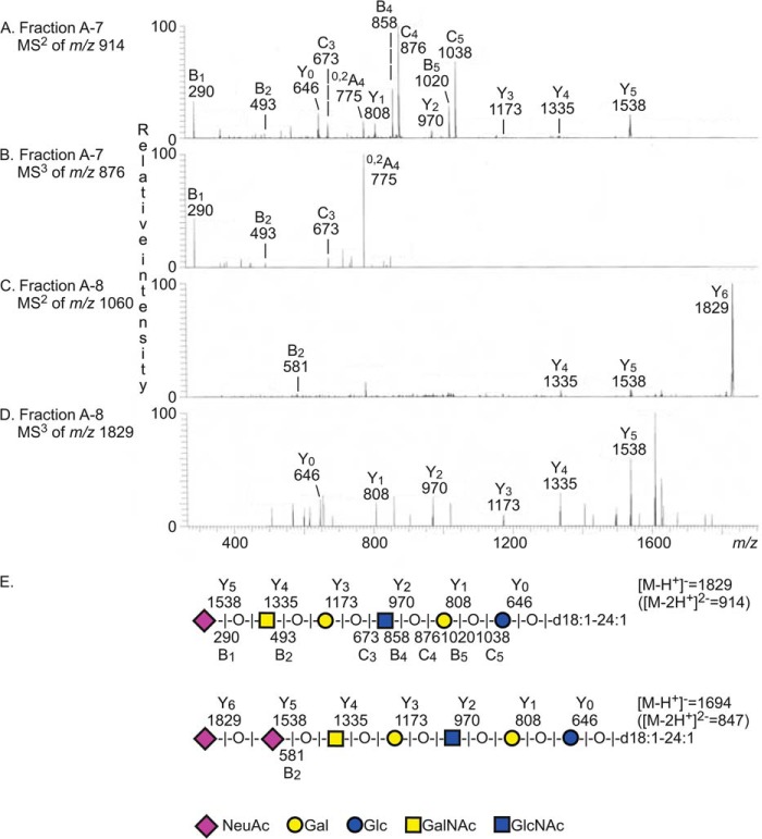 FIGURE 4.