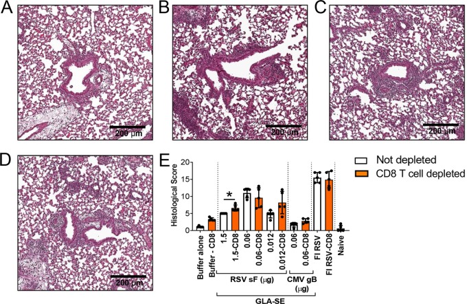 FIG 10