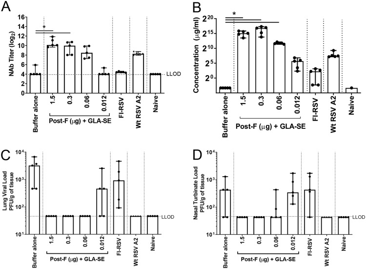 FIG 1