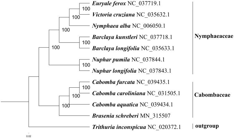 Figure 1.