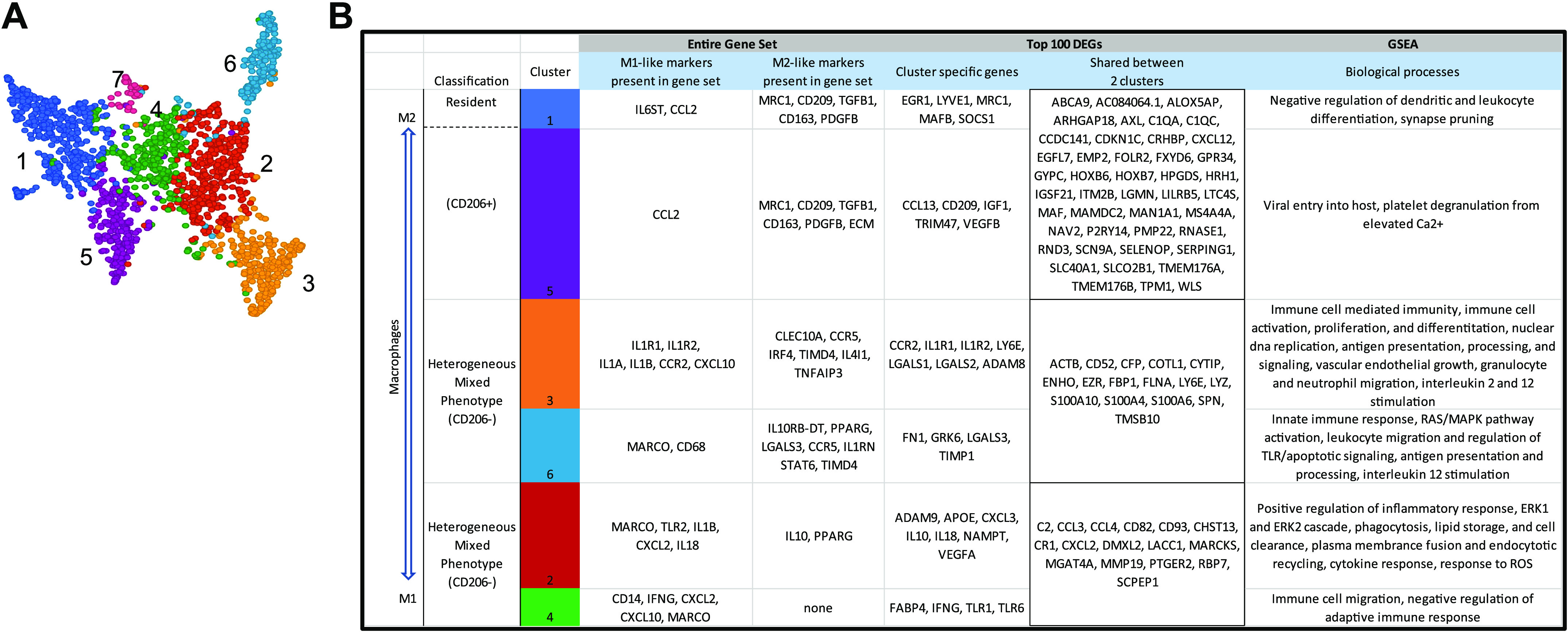 Figure 6.