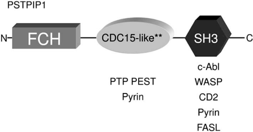 Fig. (2)