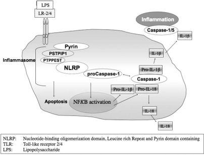 Fig. (3)