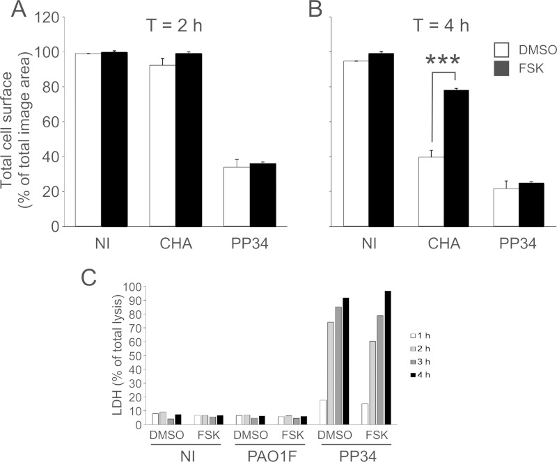 FIG 2