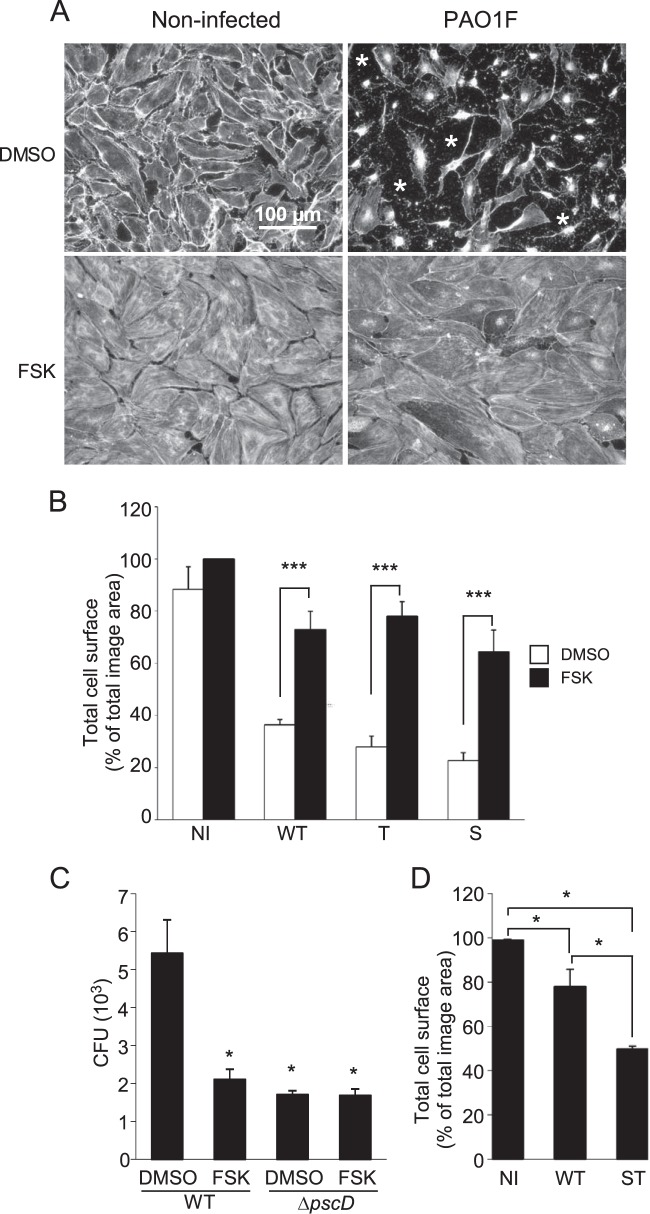 FIG 1