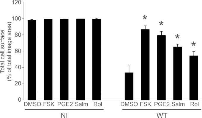 FIG 5