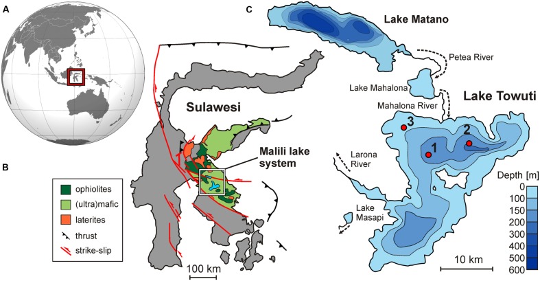 FIGURE 1