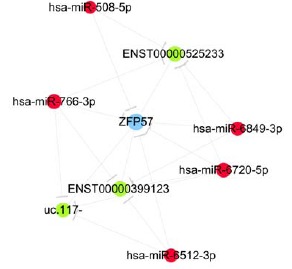 Fig. (5)