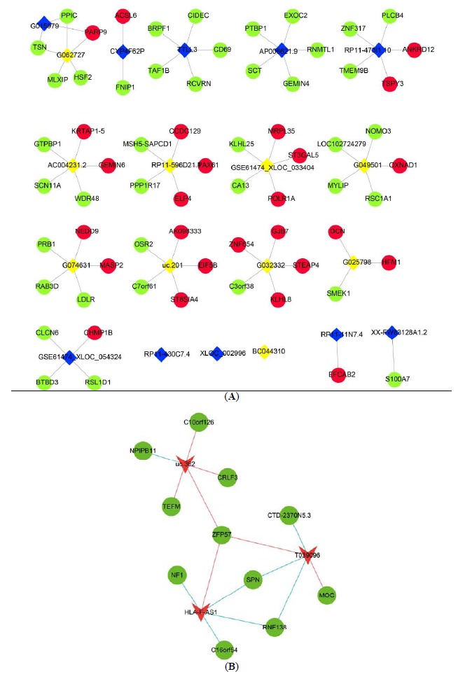 Fig. (4)