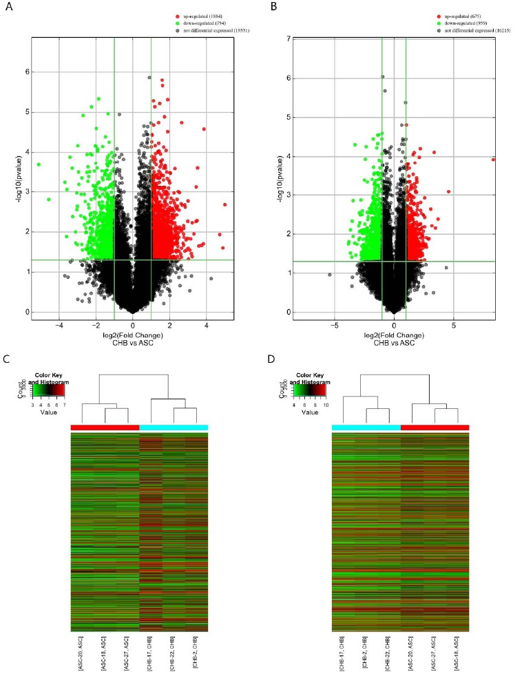 Fig. (1)