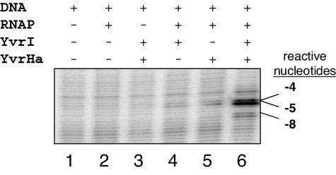 Fig. 5.