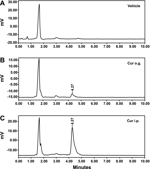 Fig. 8.