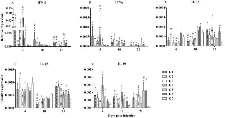 Figure 5