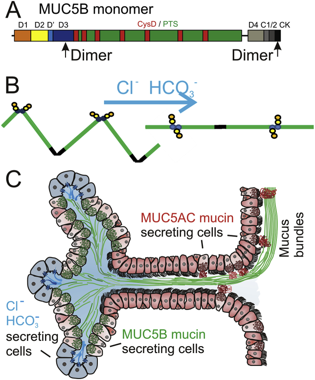 Fig. 4