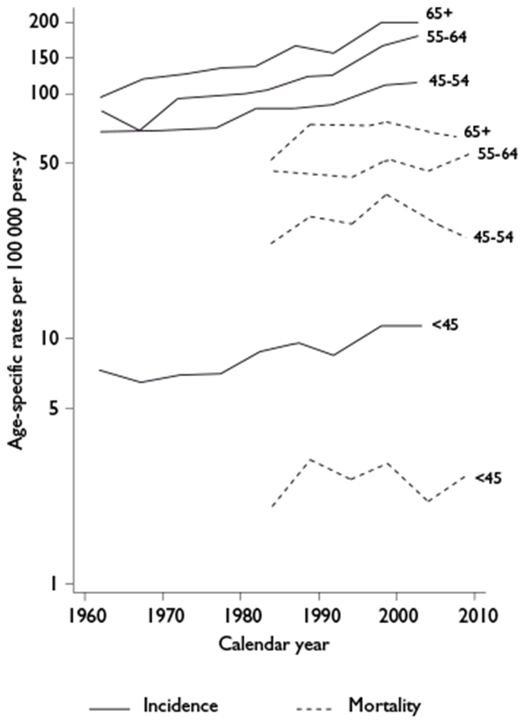 Figure 1A.