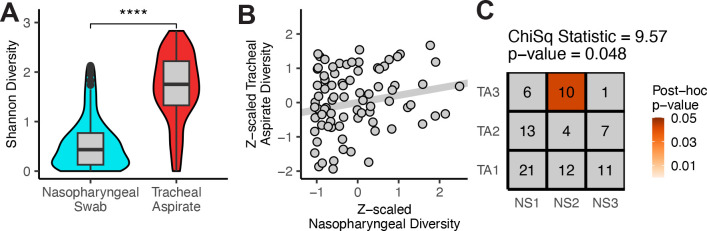 Figure 4: