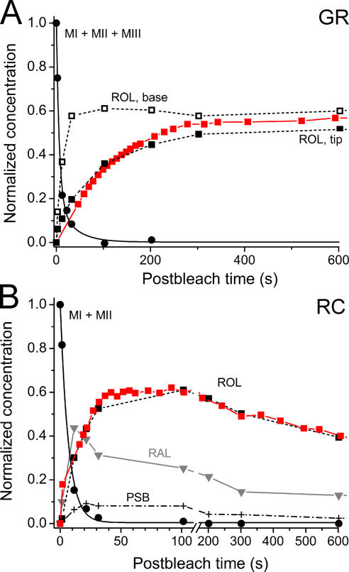 Figure 4.