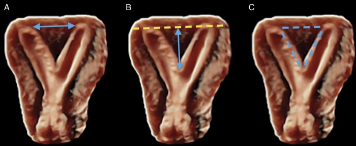 Figure 1