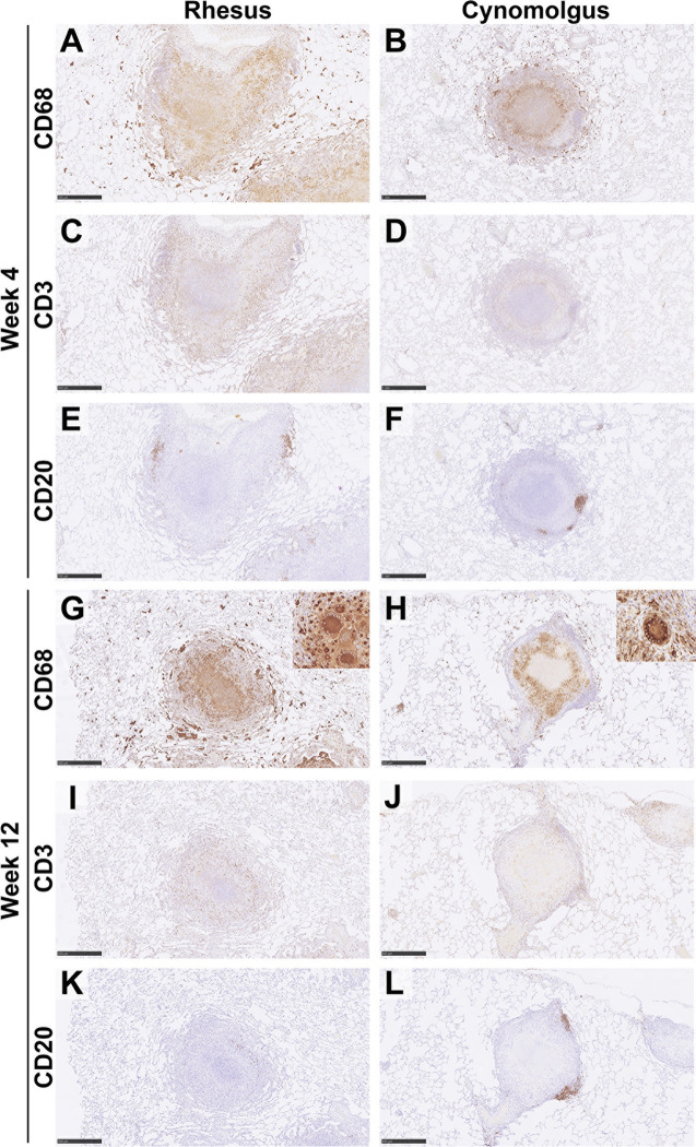 Figure 3