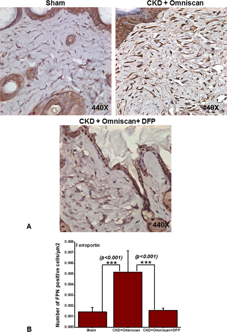 Fig 10