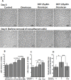 Fig 12