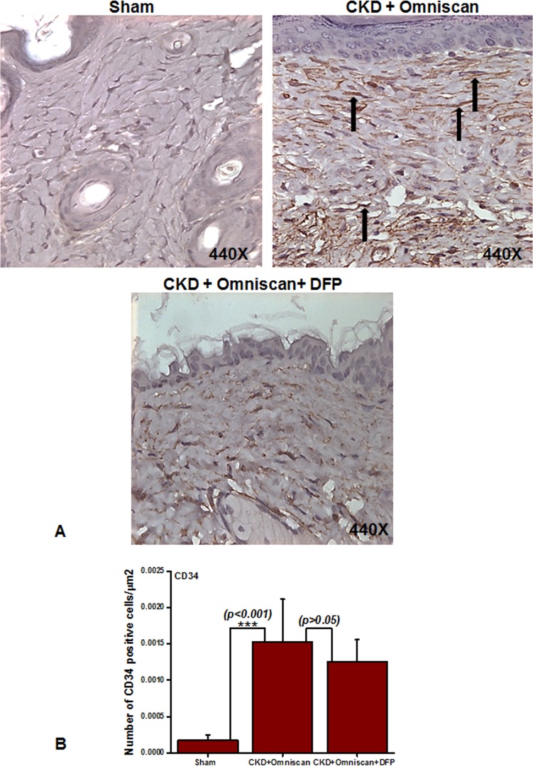 Fig 5