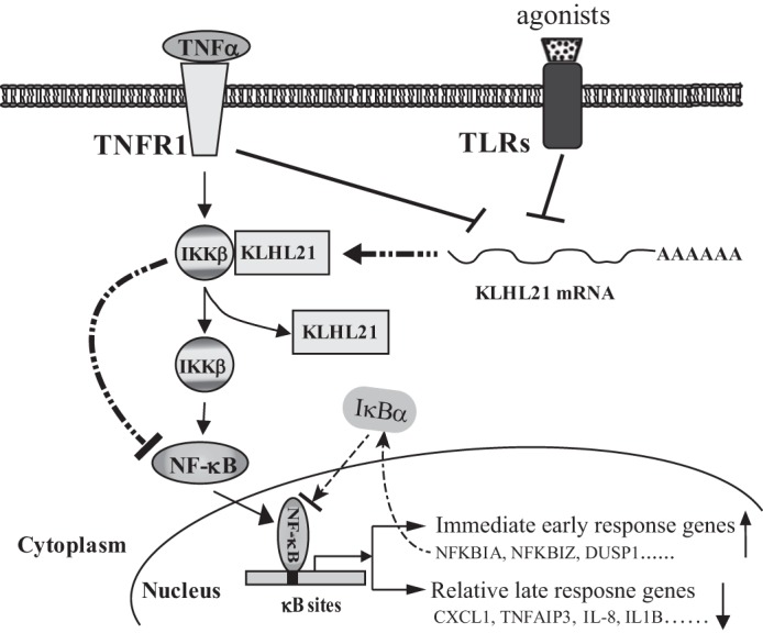 FIGURE 9.