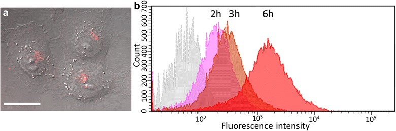 Fig. 2