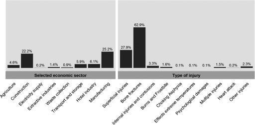 The first bar graph plot percentage (y-axis) across the following categories for selected economic sector (x-axis): agriculture, construction, electricity supply, extractive industries, waste collection, transport and storage, hotel industry, and manufacturing. The second bar graph plot percentage (y-axis) across the following categories for the type of injury (x-axis): superficial injuries, bone fractures, internal injuries and contusions, burns and frostbite, choking asphyxia, effects extreme temperatures, psychological; damages, multiple injuries, heart attack, and other injuries.