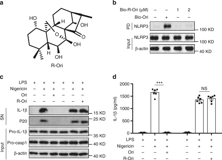 Fig. 5