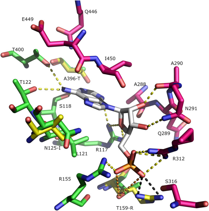 Figure 4