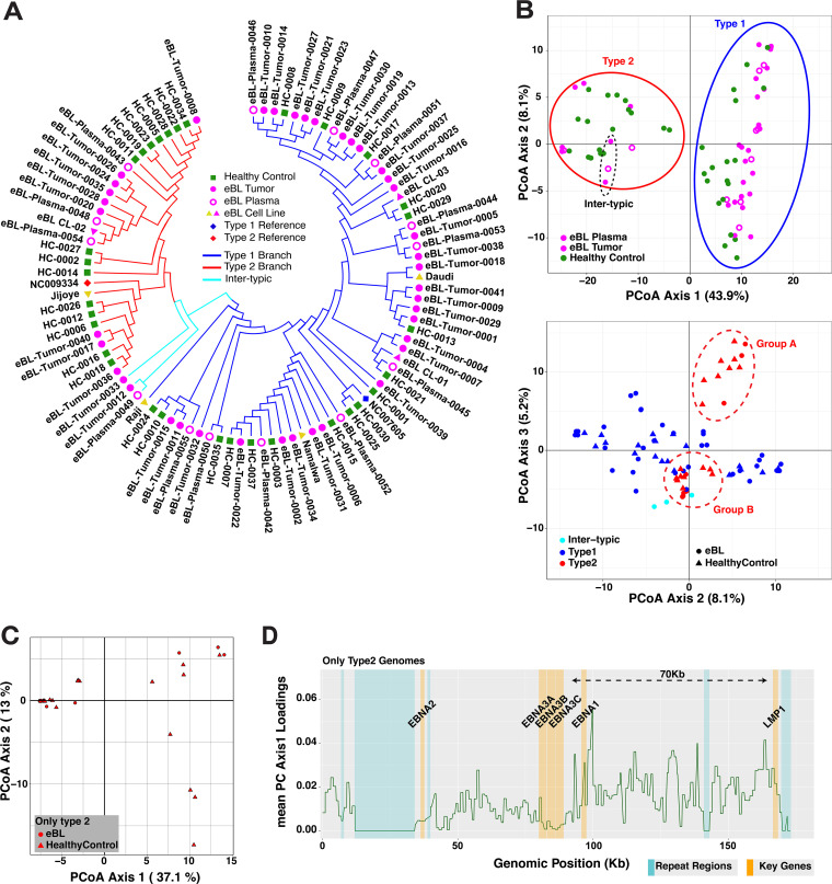 FIG 3