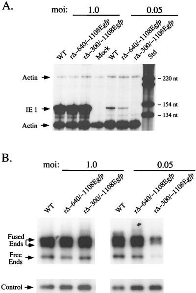 FIG. 7