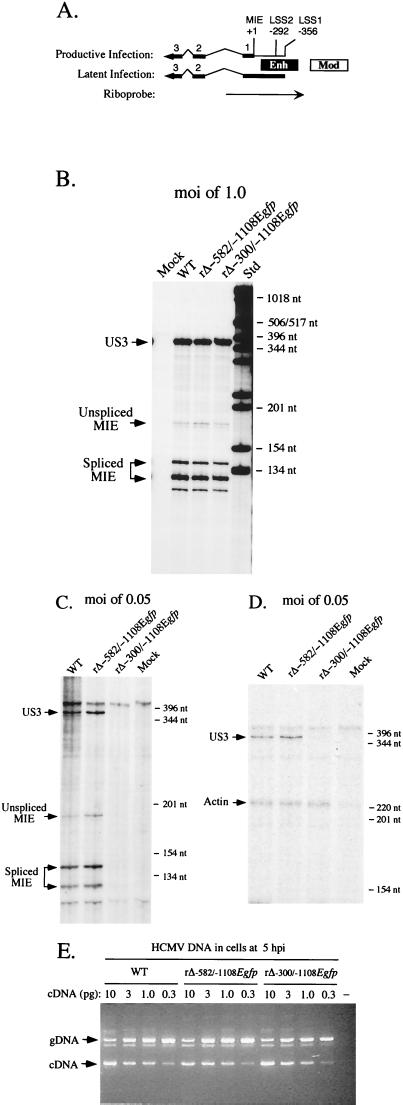 FIG. 8