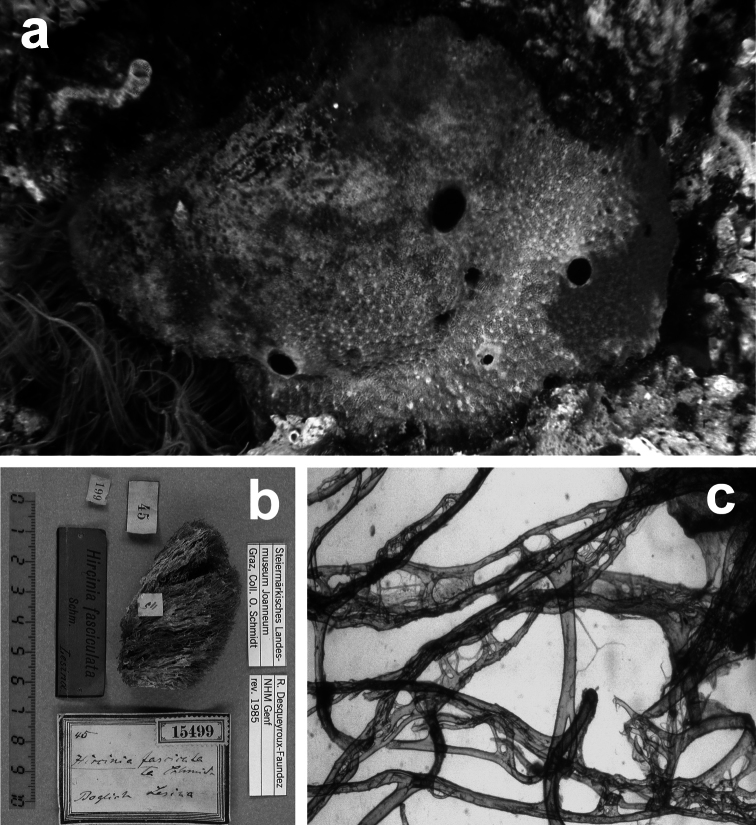 Figure 20