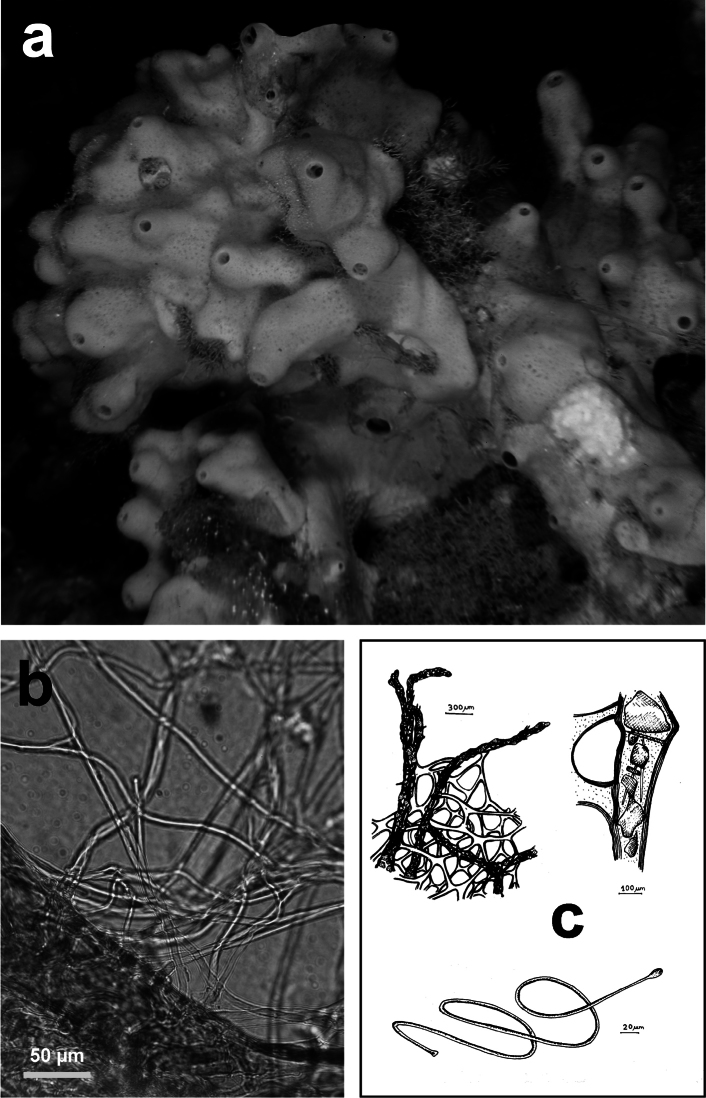 Figure 16