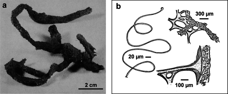 Figure 15